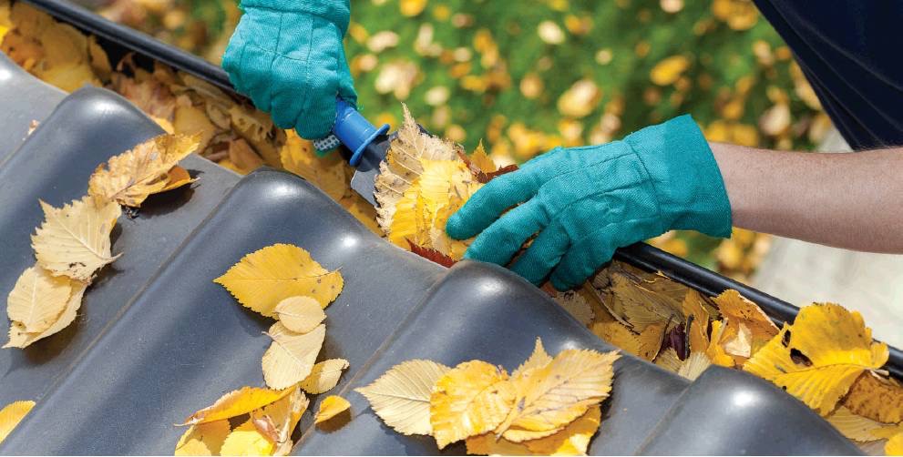Cleaning leaves out of the gutter